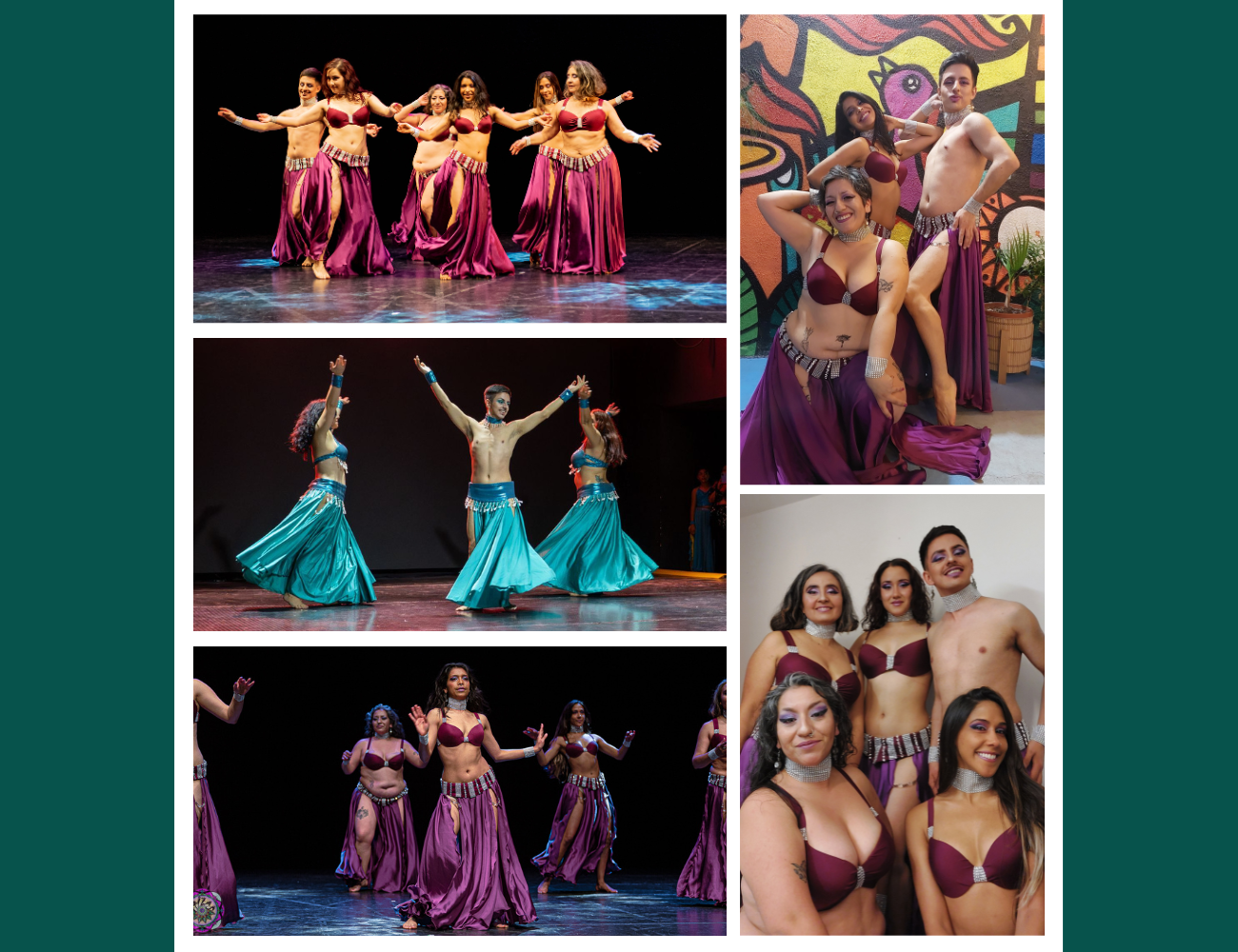 Web Site - Video (2)