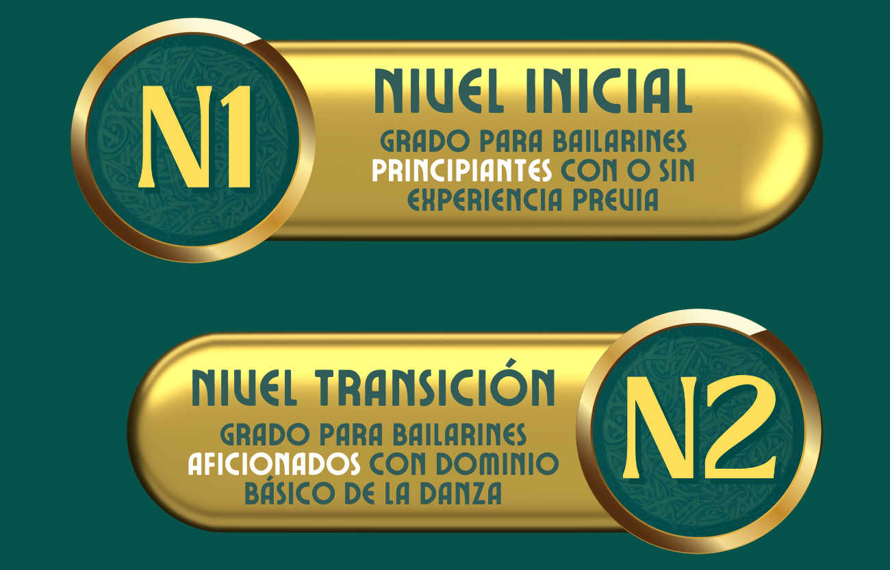 Web Site - Video (21)