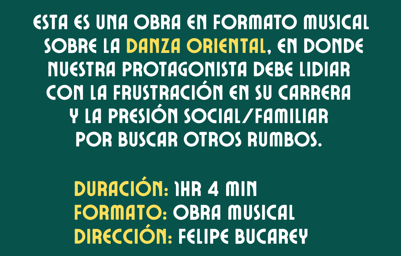 Web Site - Video (21)