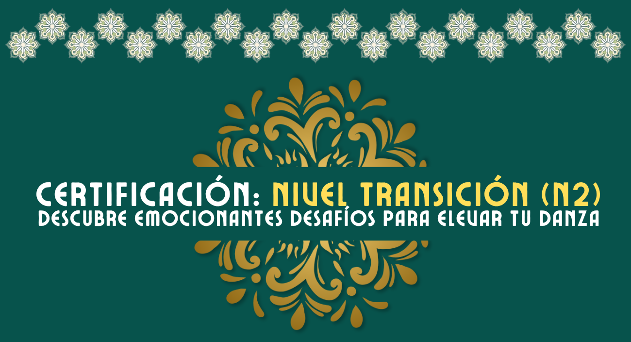 Web Site - Video (26)