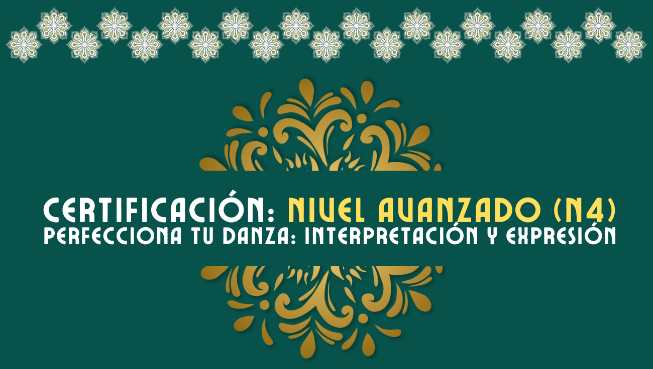 Web Site - Video (28)