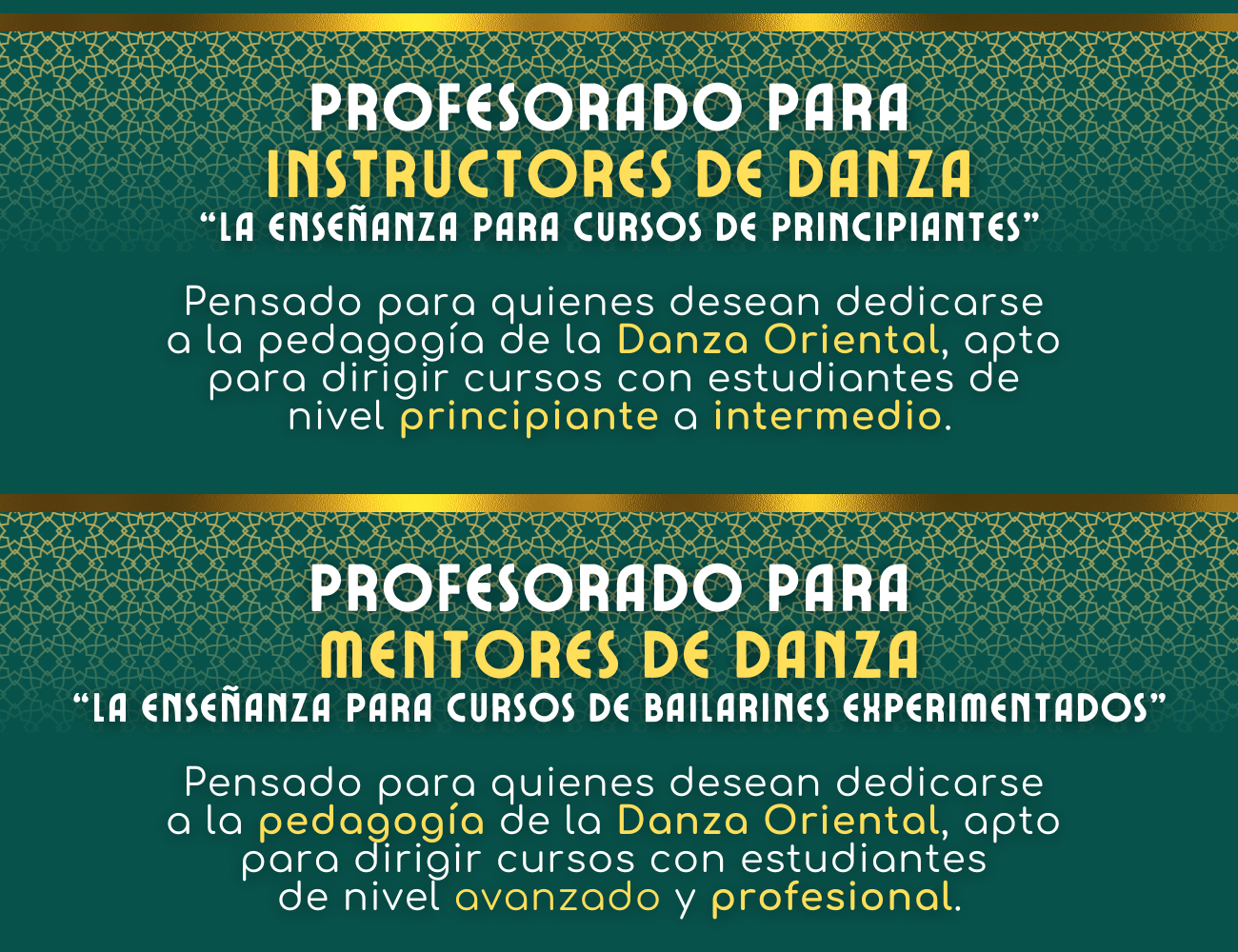 Web Site - Video (35)