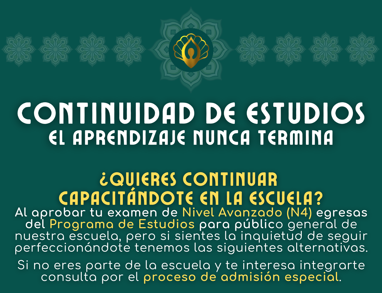 Web Site - Video (37)