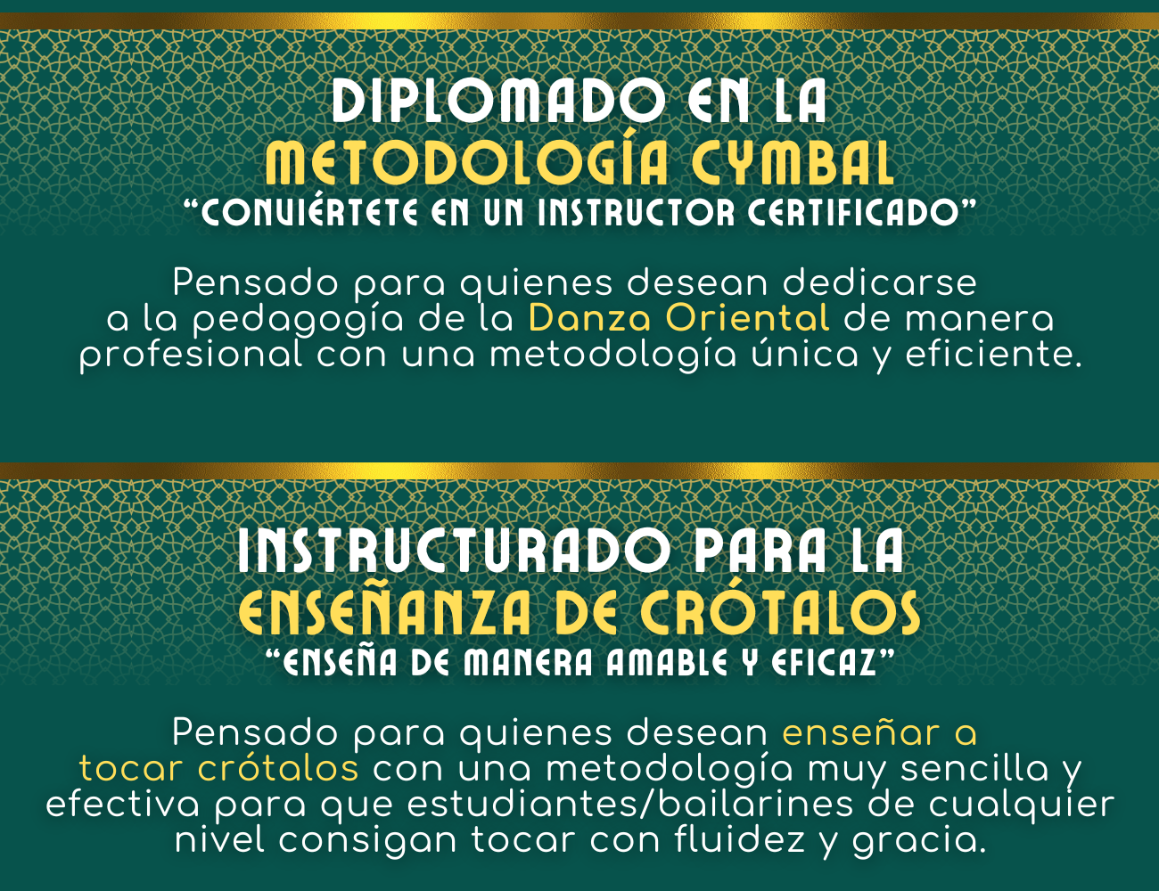 Web Site - Video (38)