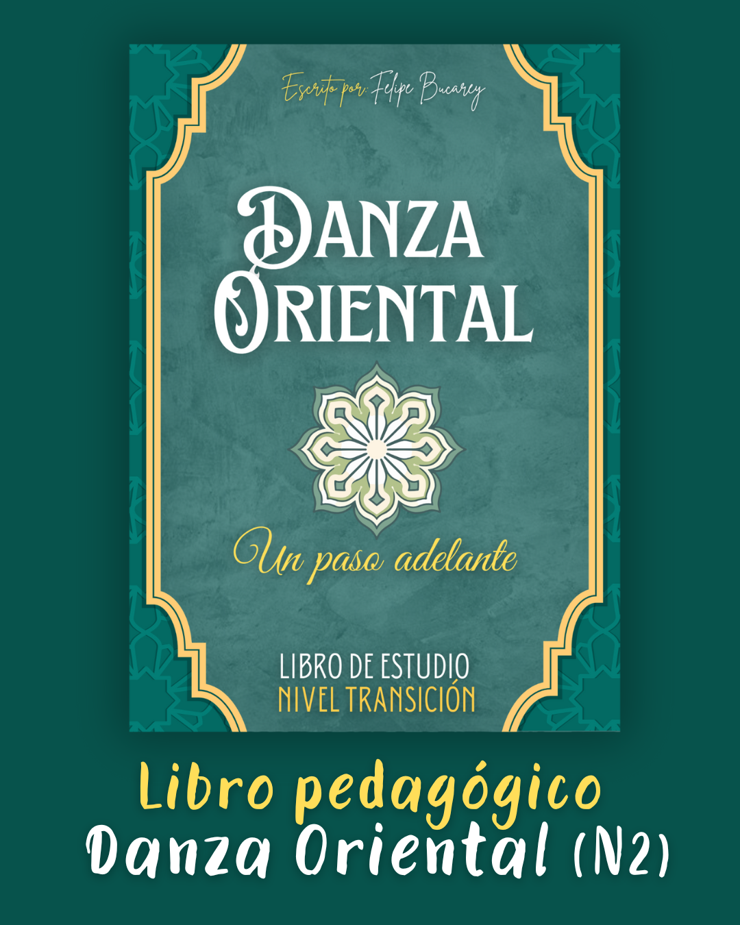 Libro Pedagogico (1)