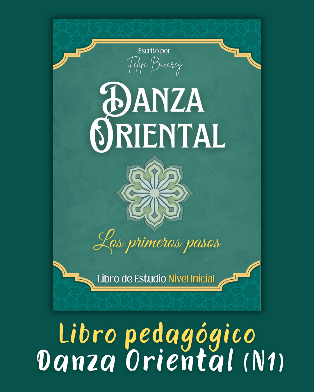 Libro Pedagogico (2)