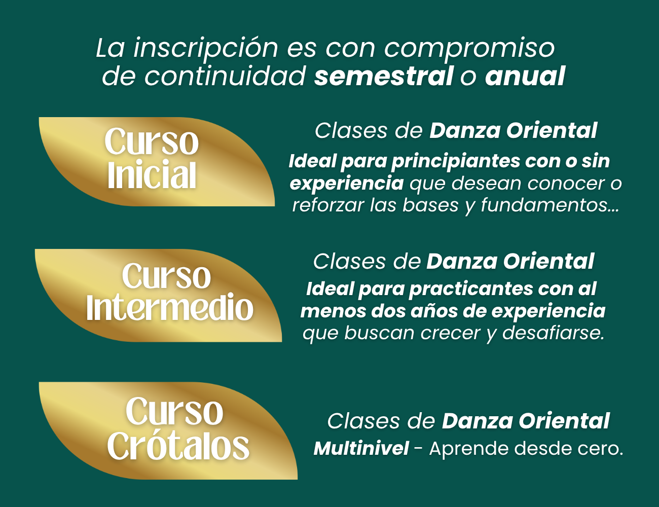 Web Site - Video (47)